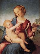 RAFFAELLO Sanzio Colonna Madonna oil painting